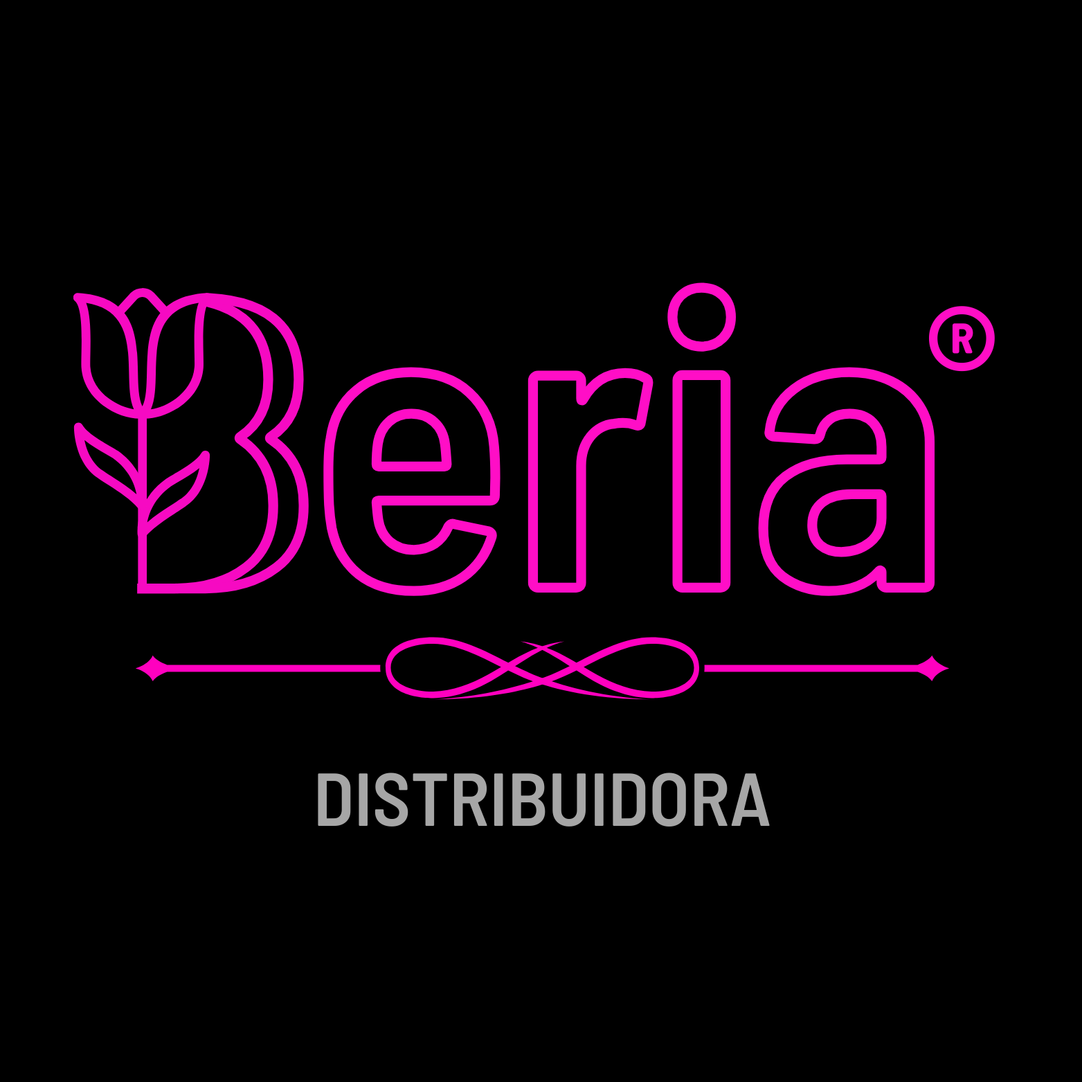 distribuidoraberia