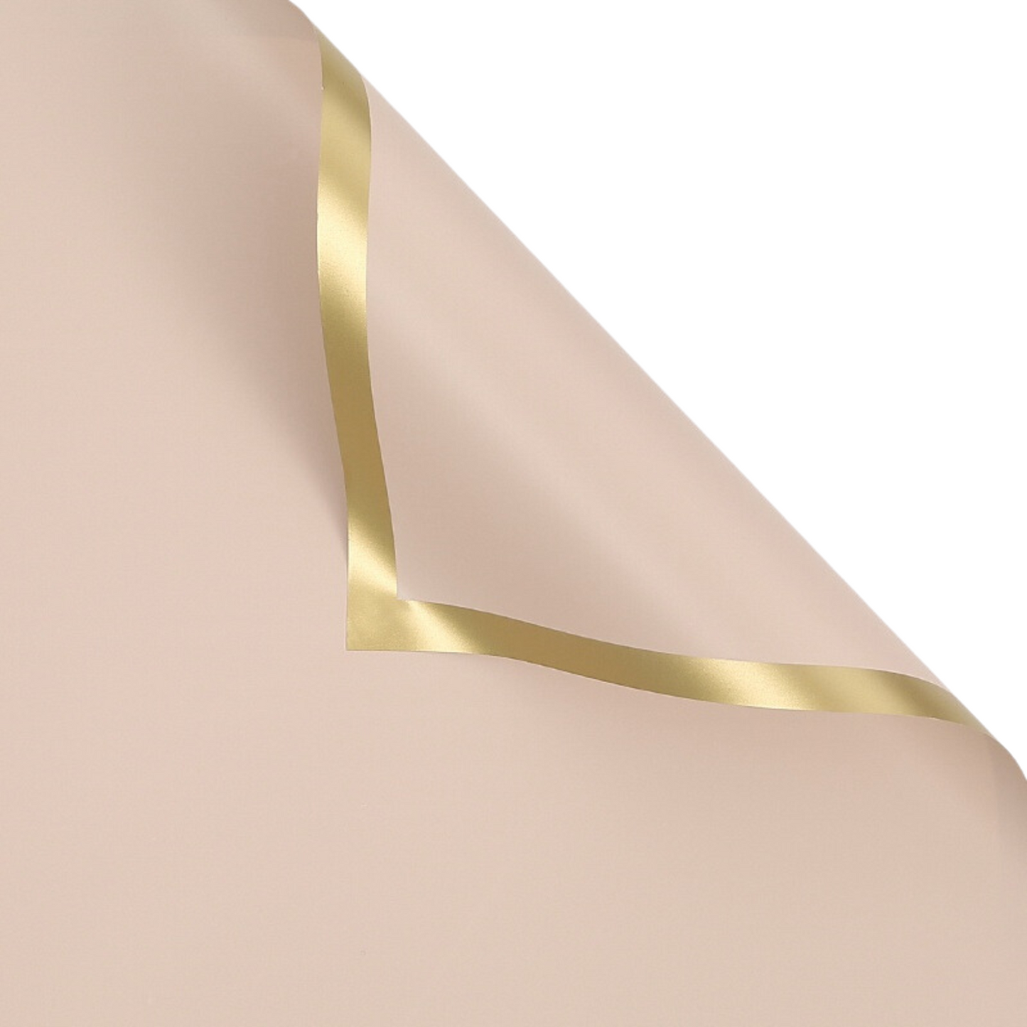 PA. XXY - 006